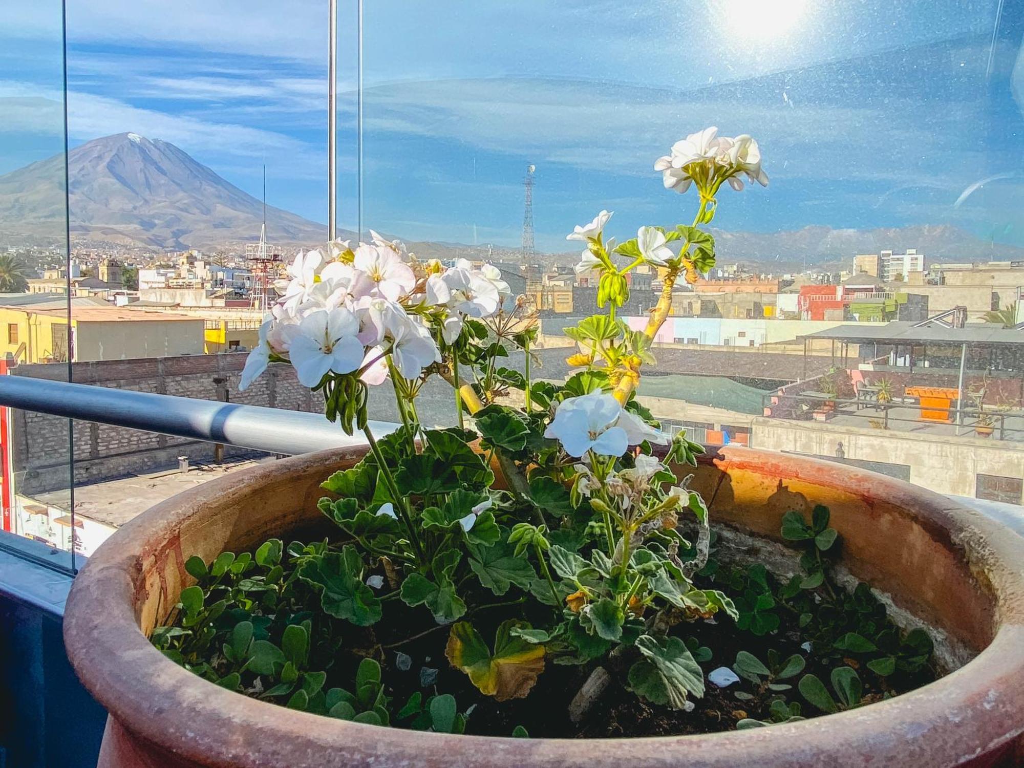 Hotel Tikary Arequipa Exterior photo